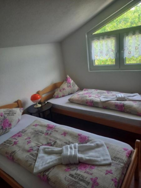 Apartman EDINA